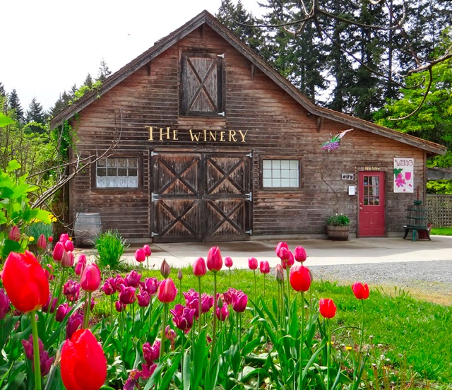 starlingLaneSpring2012web